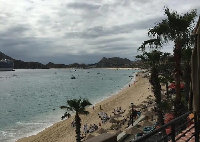 Del Palmar &